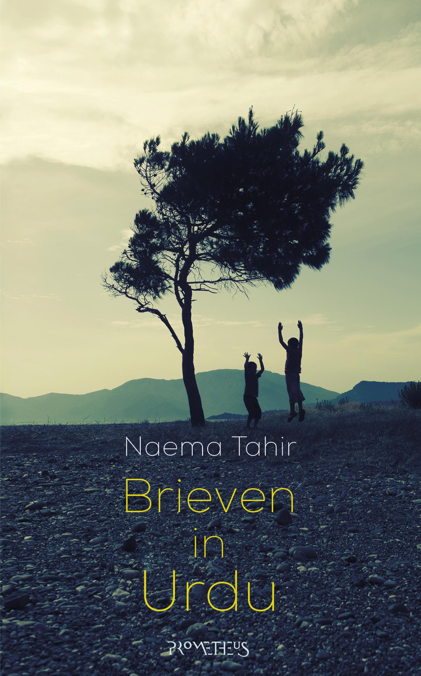 Omslag van Brieven in Urdu