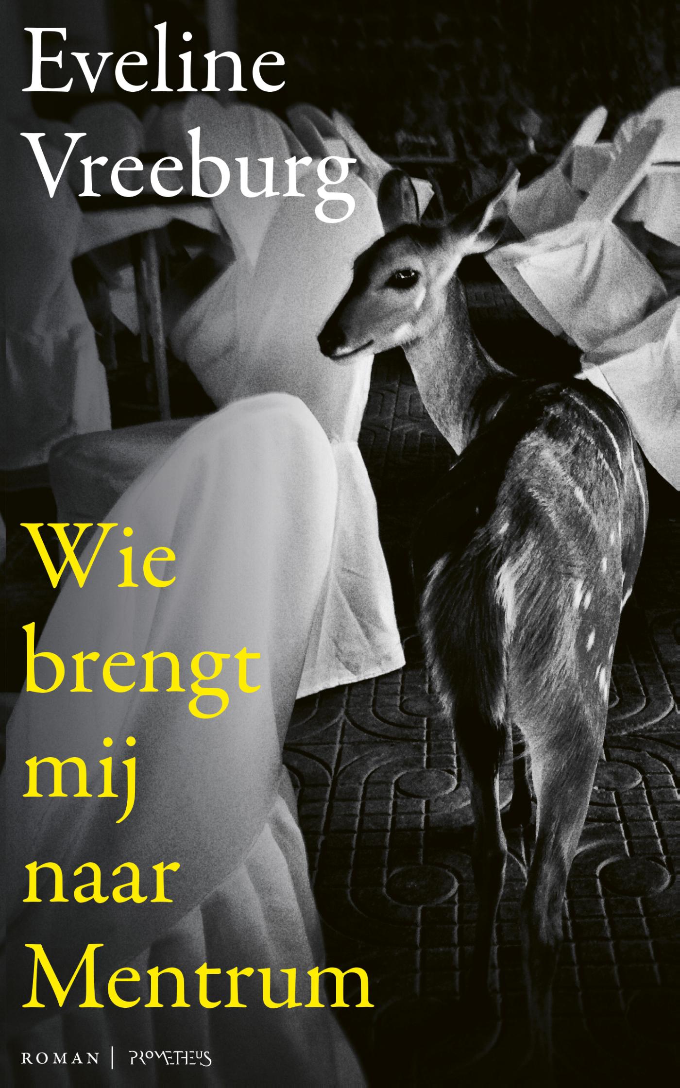 Omslag van Wie brengt mij naar Mentrum