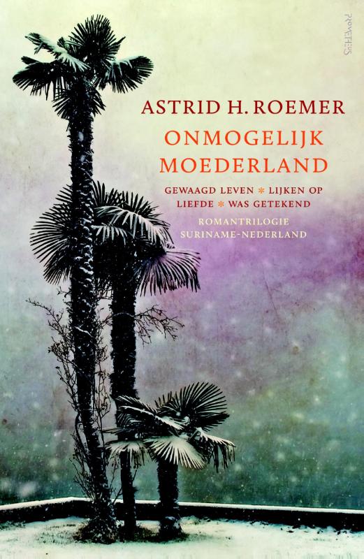 Omslag van Onmogelijk moederland