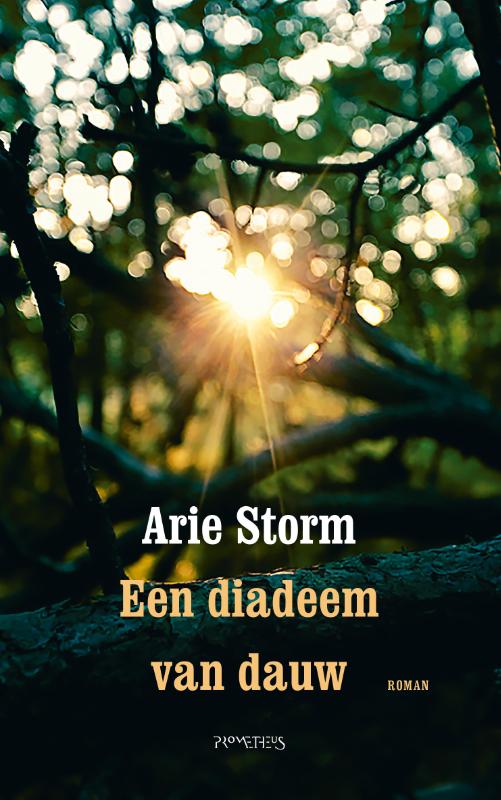 Omslag van Een diadeem van dauw