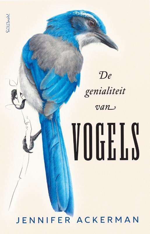 Omslag van De genialiteit van vogels