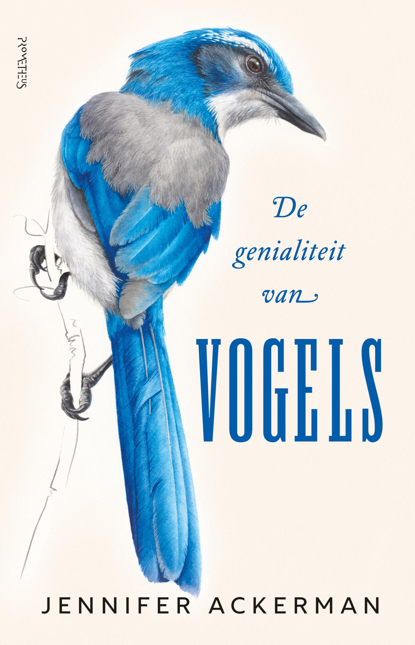 Omslag van De genialiteit van vogels