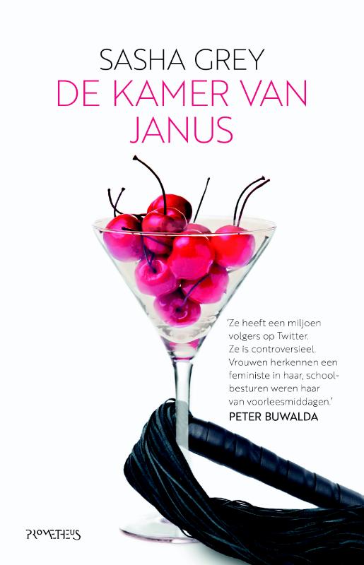 Omslag van De kamer van Janus