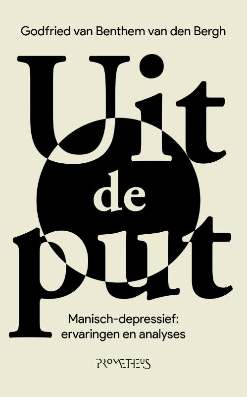 Omslag van Uit de put