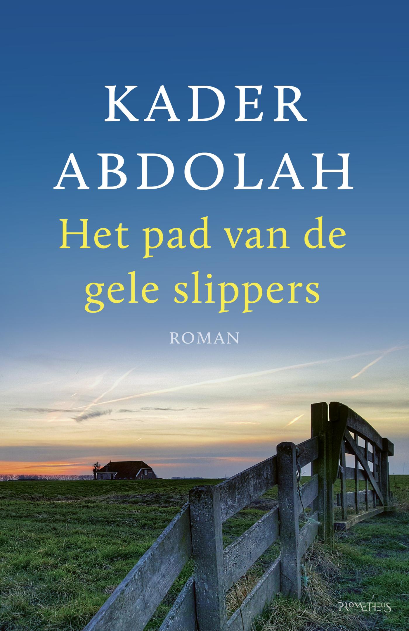 Omslag van Het pad van de gele slippers