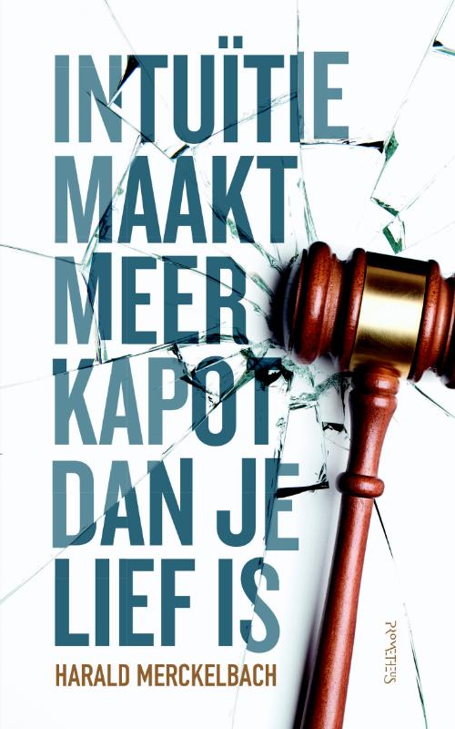 Omslag van Intuïtie maakt meer kapot dan je lief is