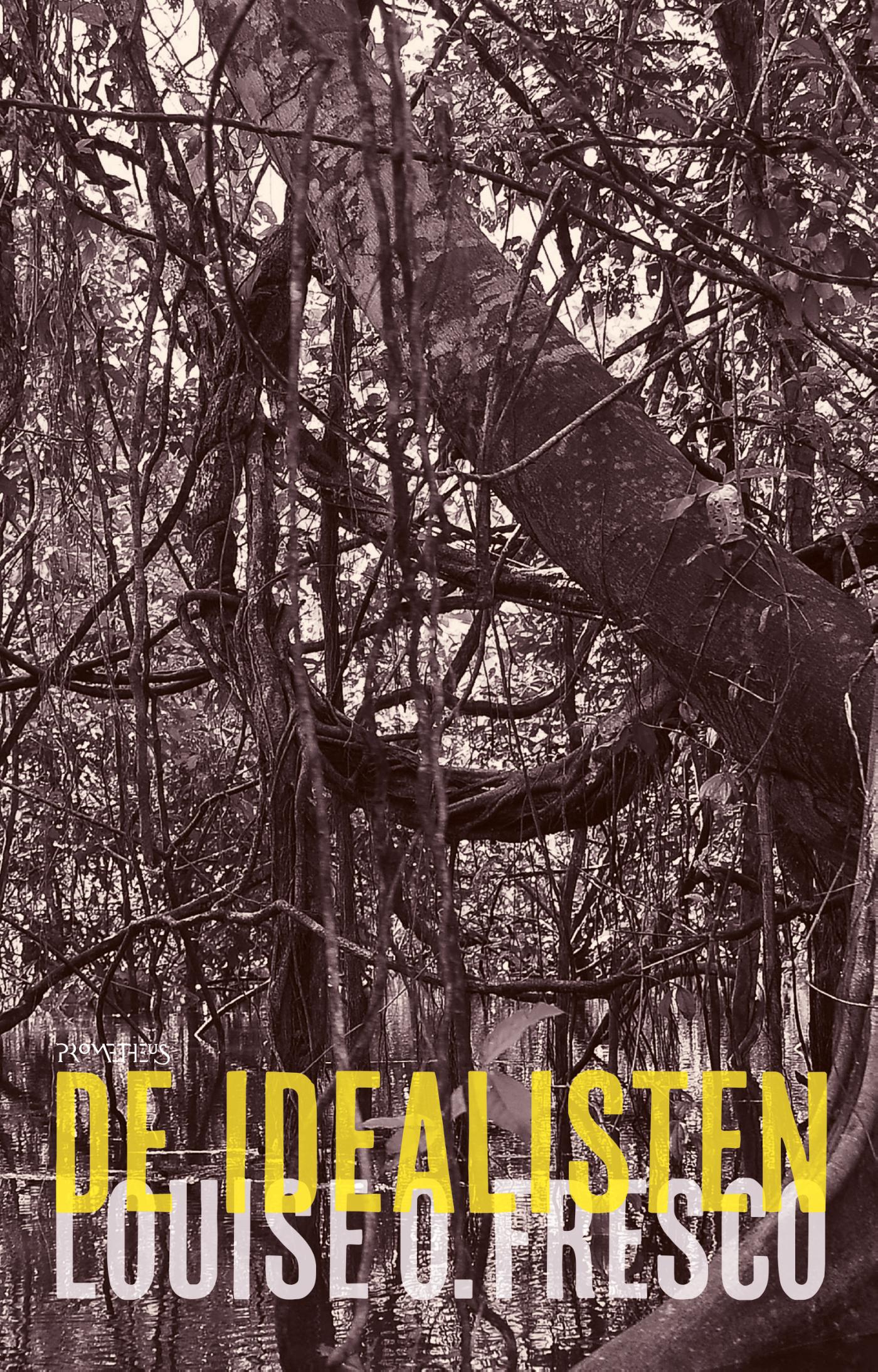 Omslag van De idealisten