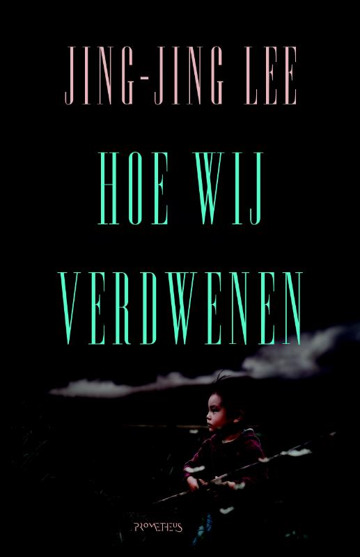 Omslag van Hoe wij verdwenen