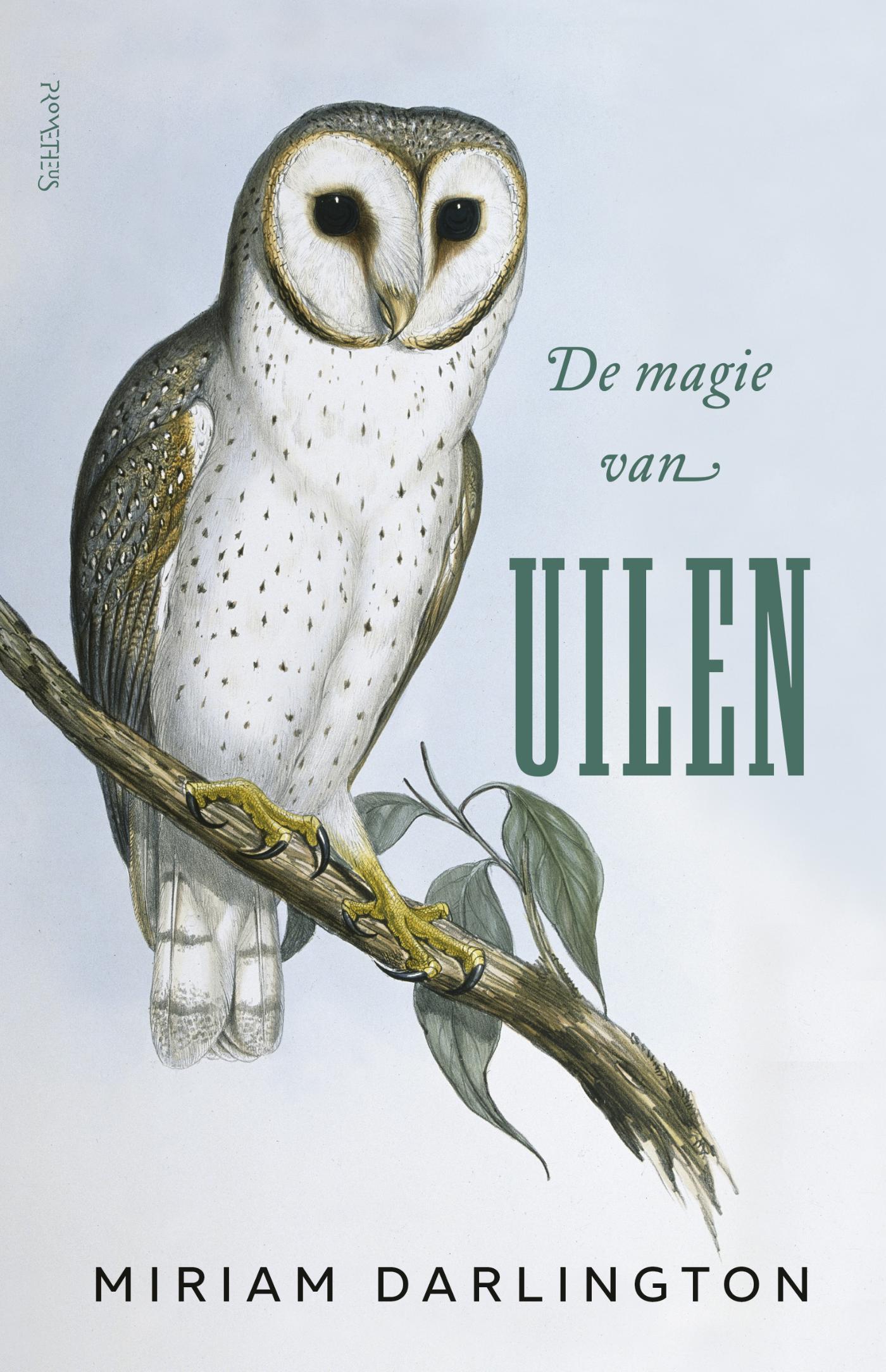 Omslag van De magie van uilen