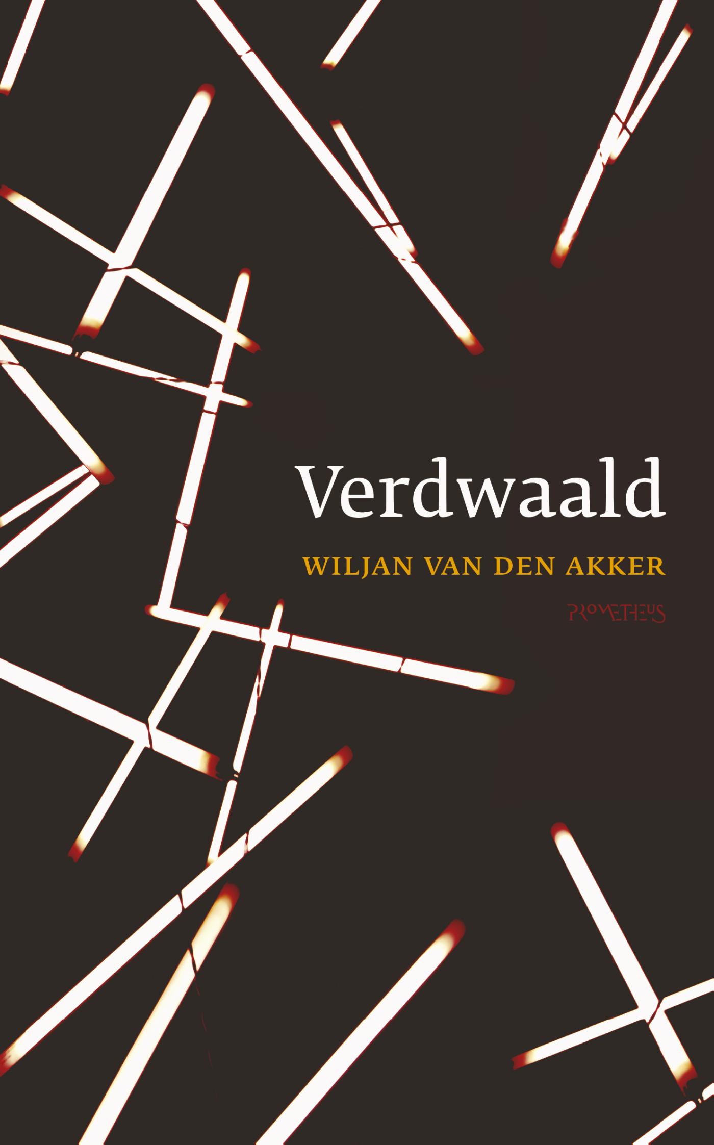 Omslag van Verdwaald