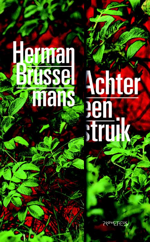 Omslag van Achter een struik
