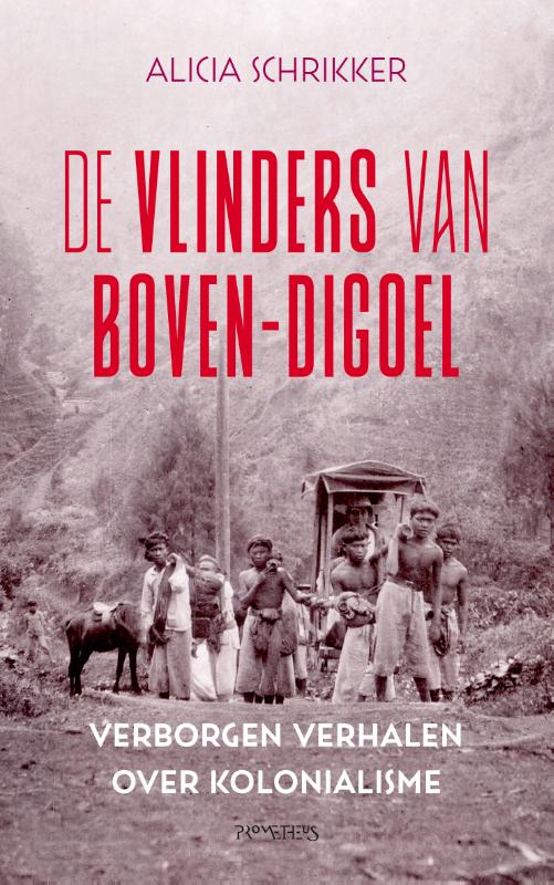 Omslag van De vlinders van Boven-Digoel