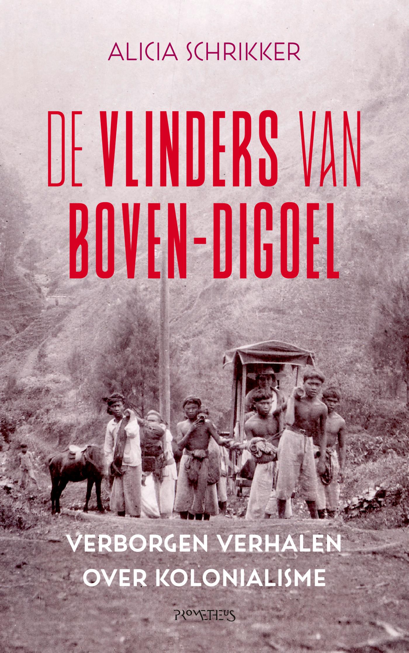 Omslag van De vlinders van Boven-Digoel
