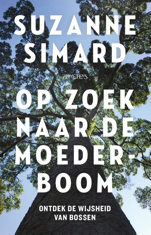 Omslag van Op zoek naar de moederboom