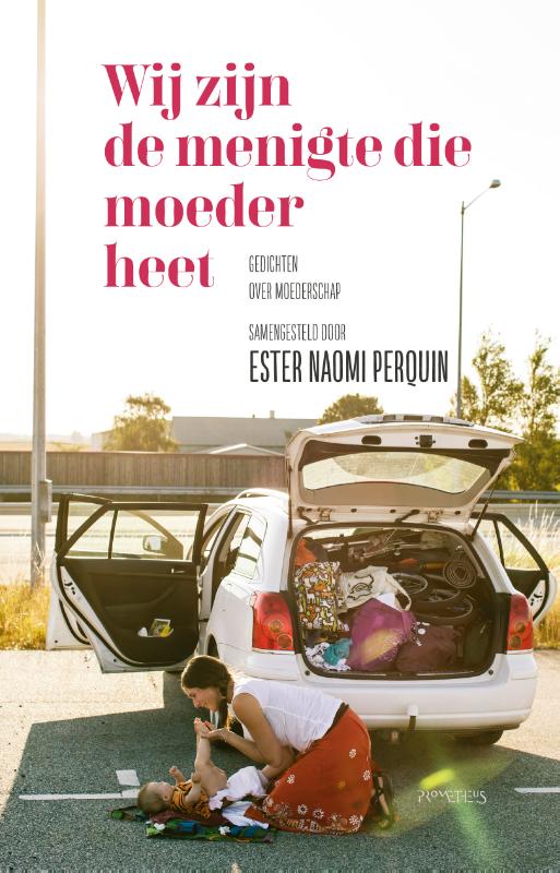 Omslag van Wij zijn de menigte die moeder heet