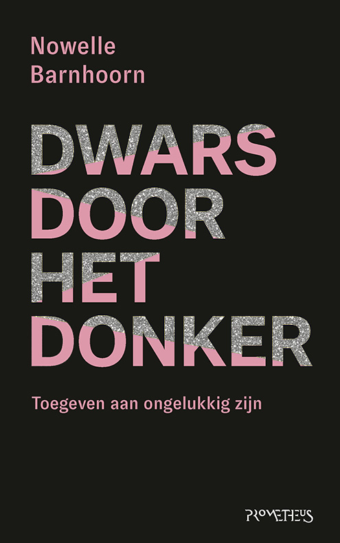 Omslag van Dwars door het donker