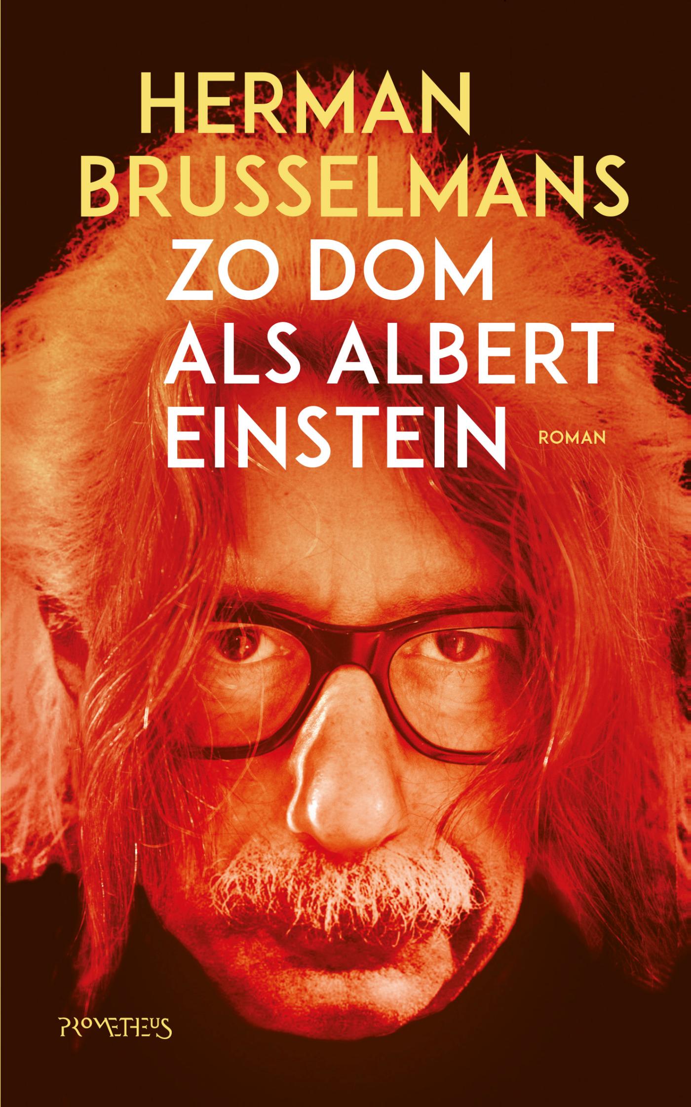 Omslag van Zo dom als Albert Einstein