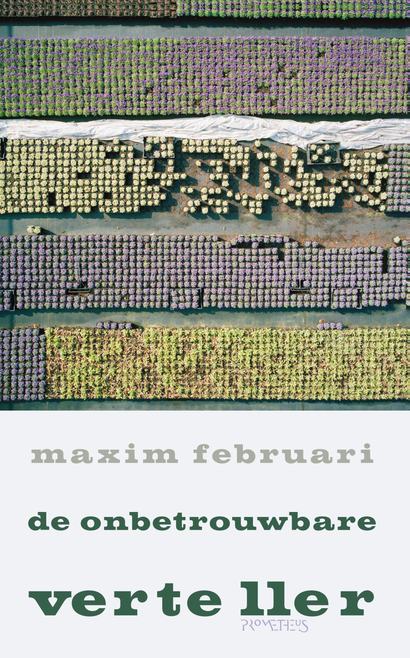 Omslag van De onbetrouwbare verteller