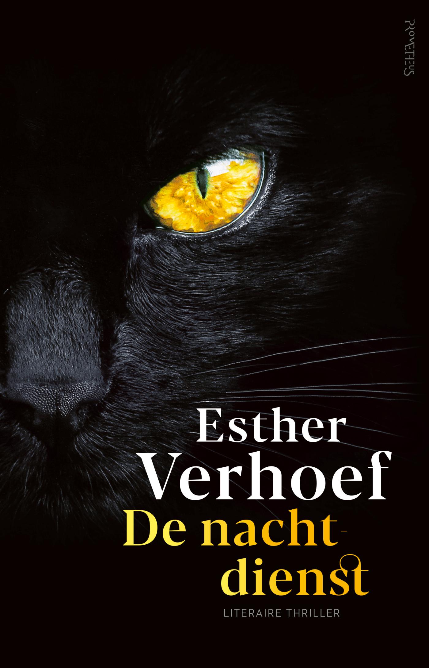 Omslag van De Nachtdienst