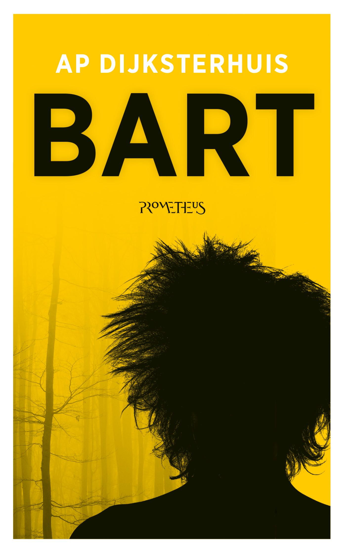 Omslag van Bart