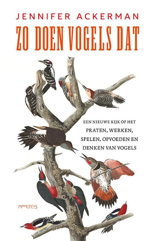 Omslag van Zo doen vogels dat