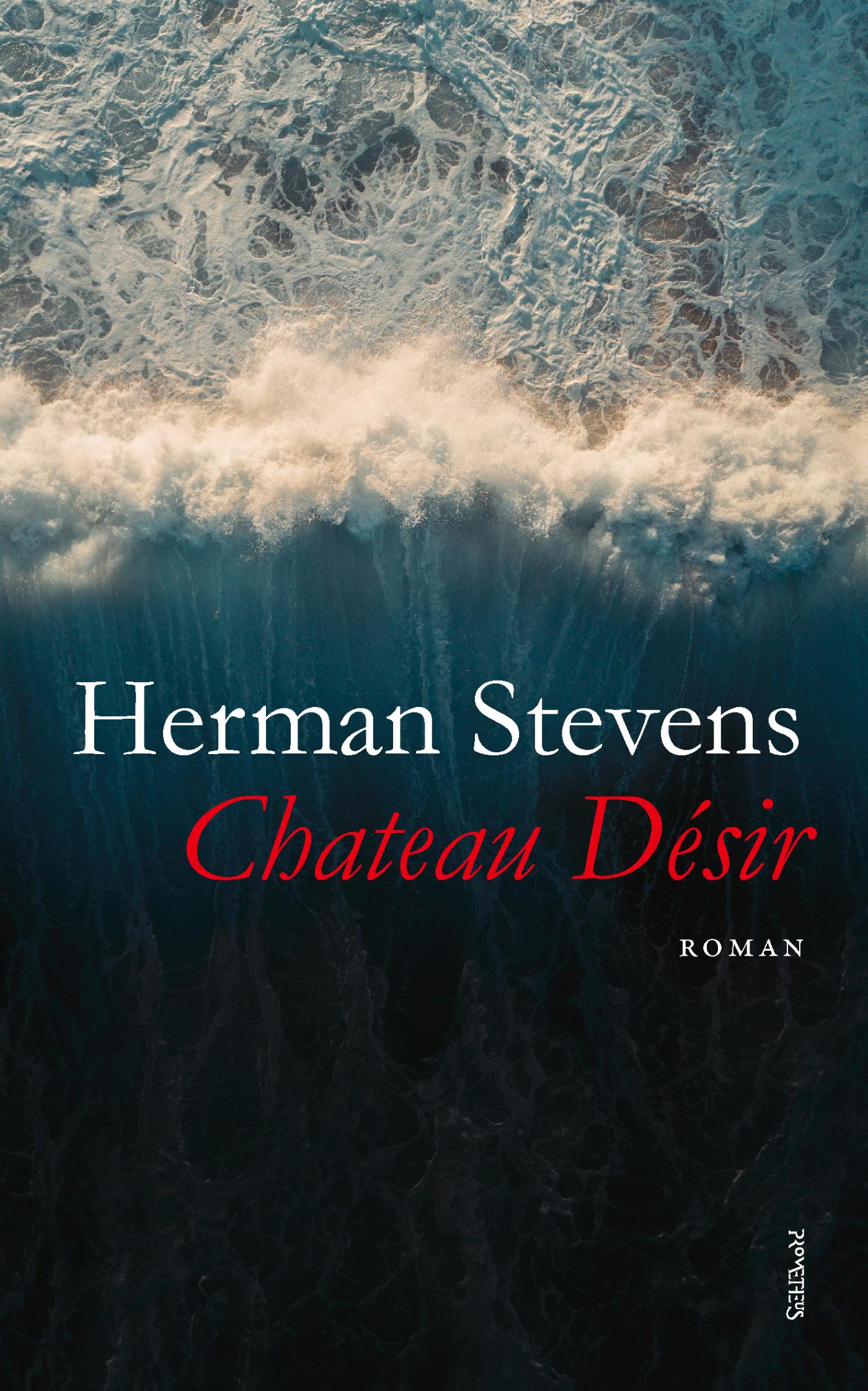 Omslag van Chateau Désir