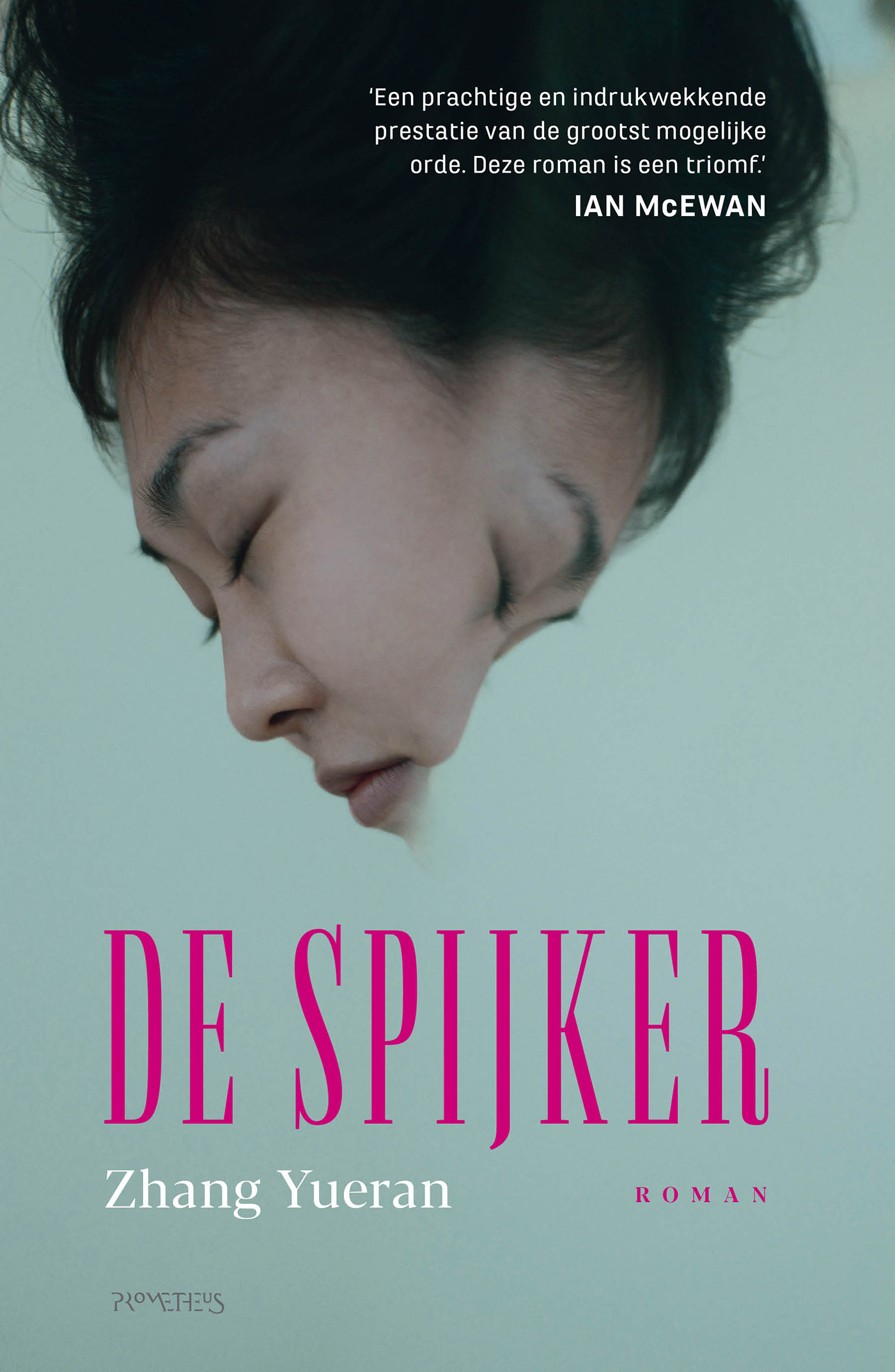 Omslag van De spijker