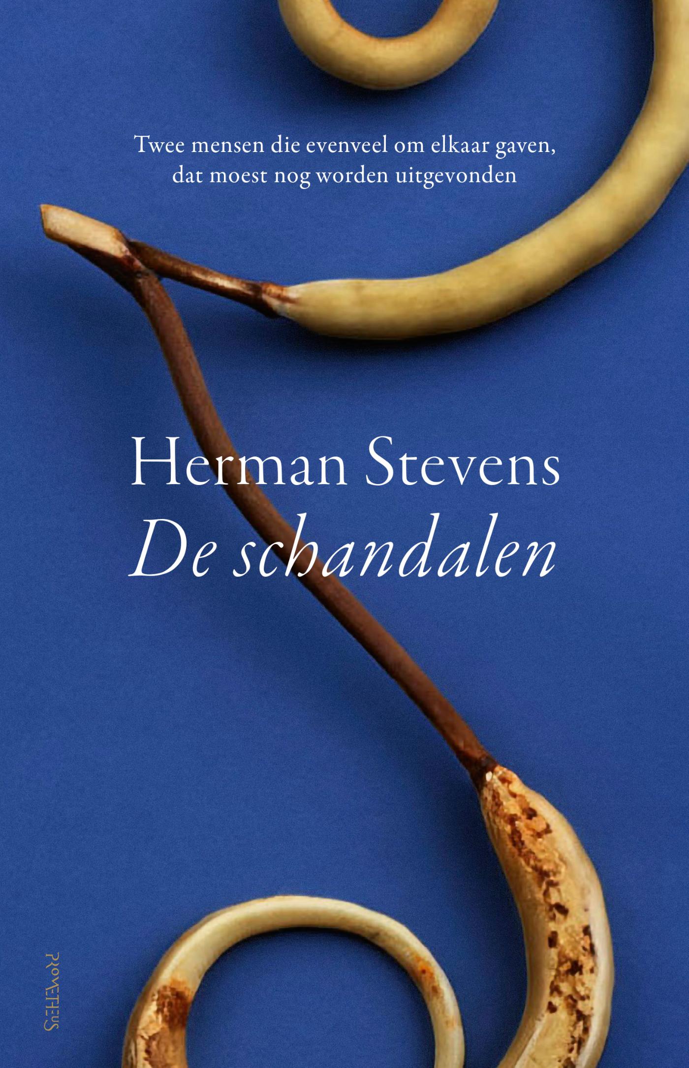 Omslag van De schandalen