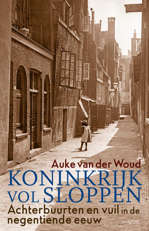 Omslag van Koninkrijk vol sloppen