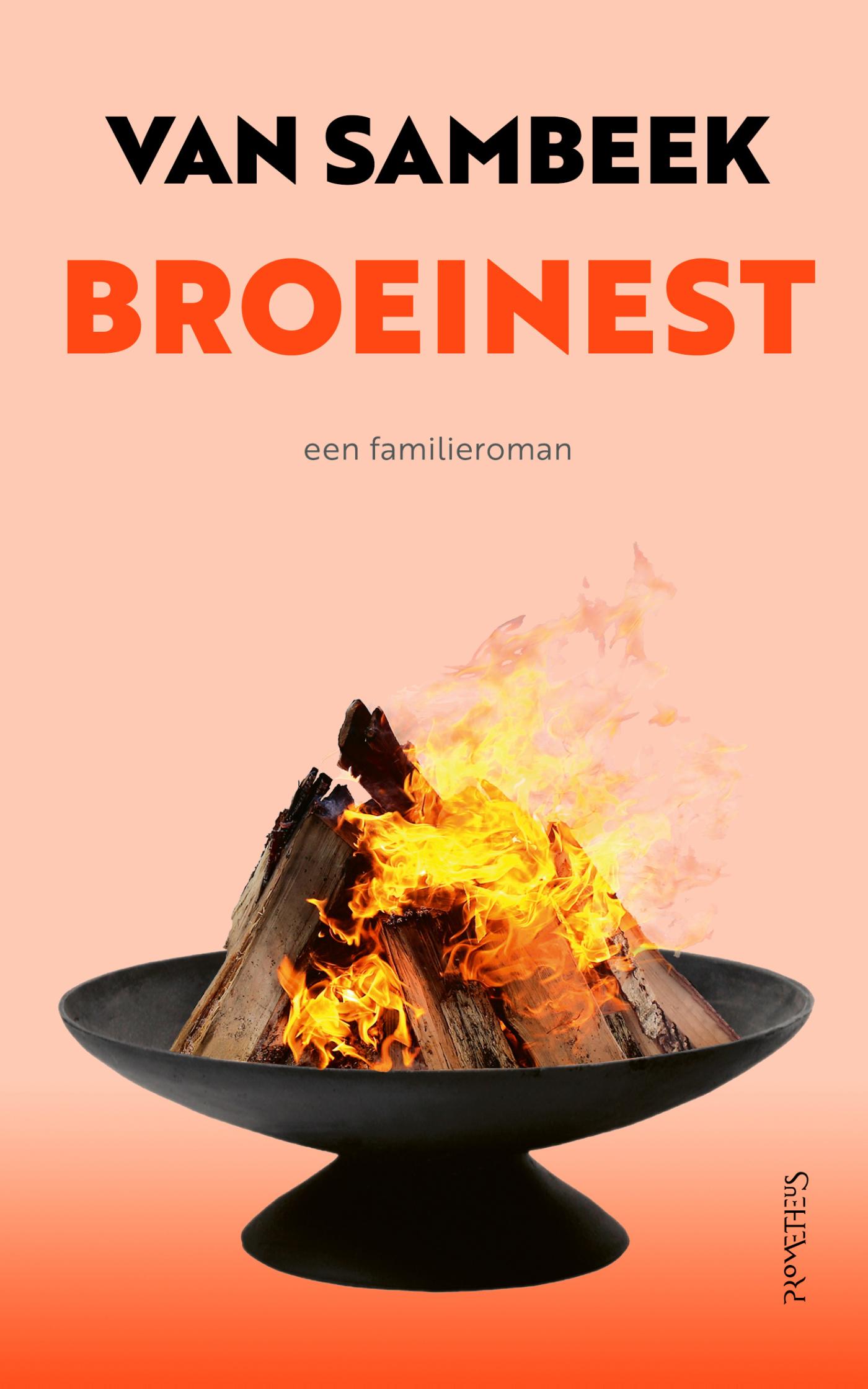 Omslag van Broeinest