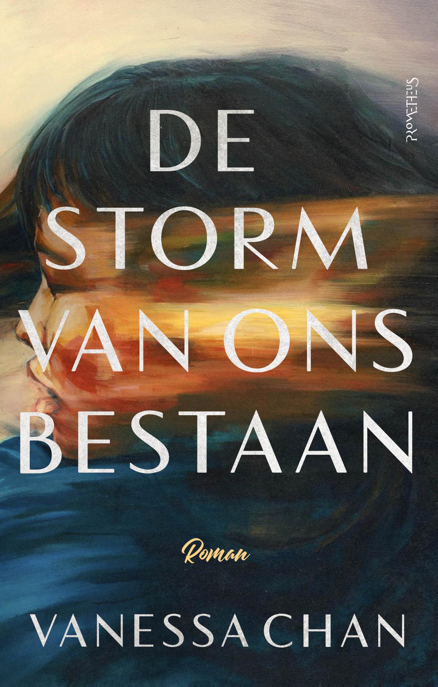 Omslag van De storm van ons bestaan