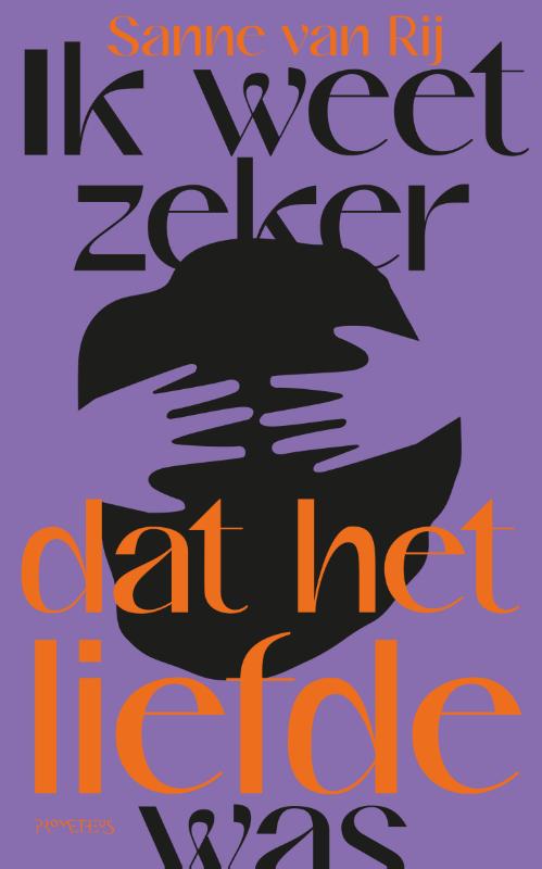 Omslag van Ik weet zeker dat het liefde was