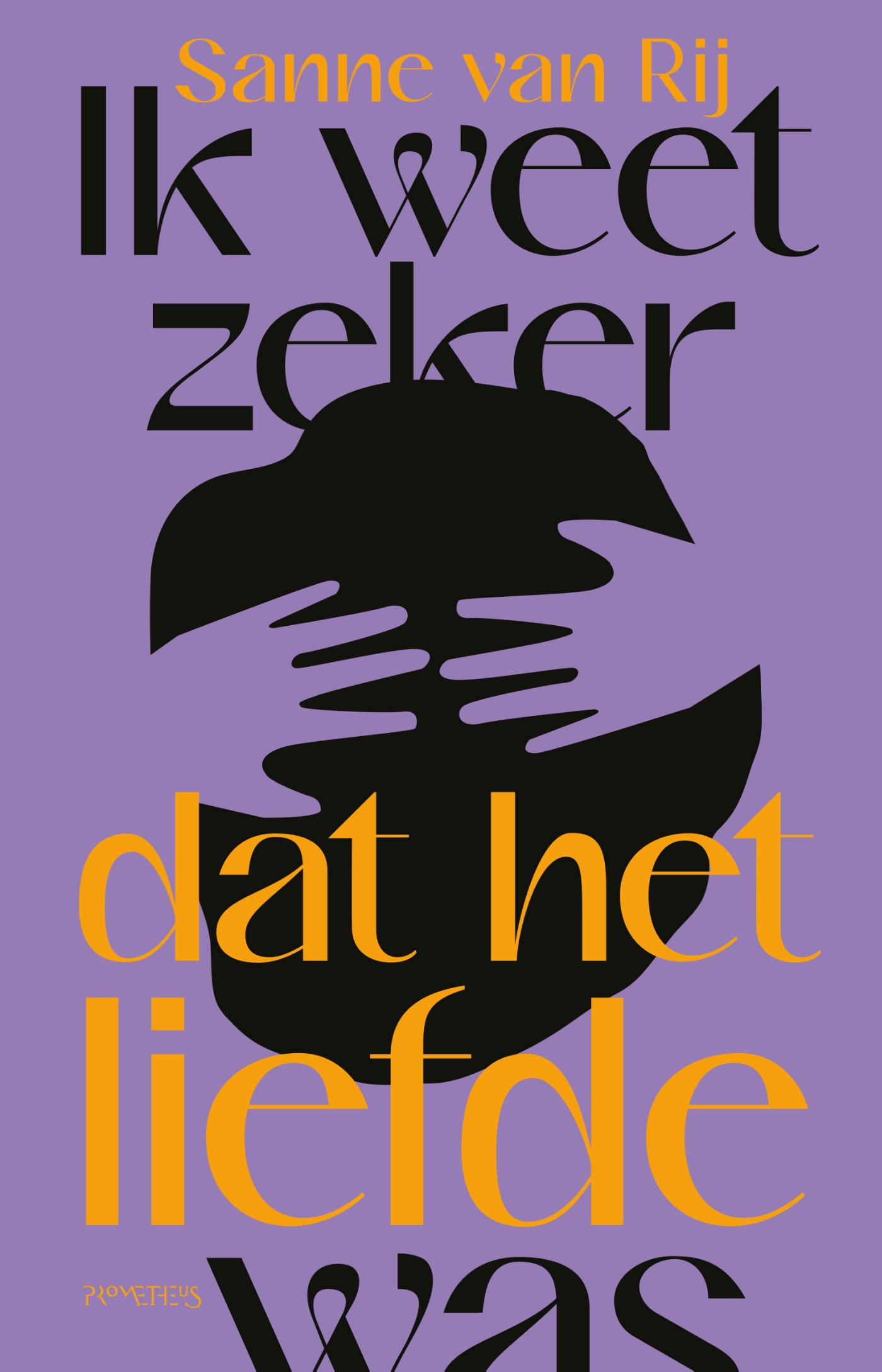 Omslag van Ik weet zeker dat het liefde was