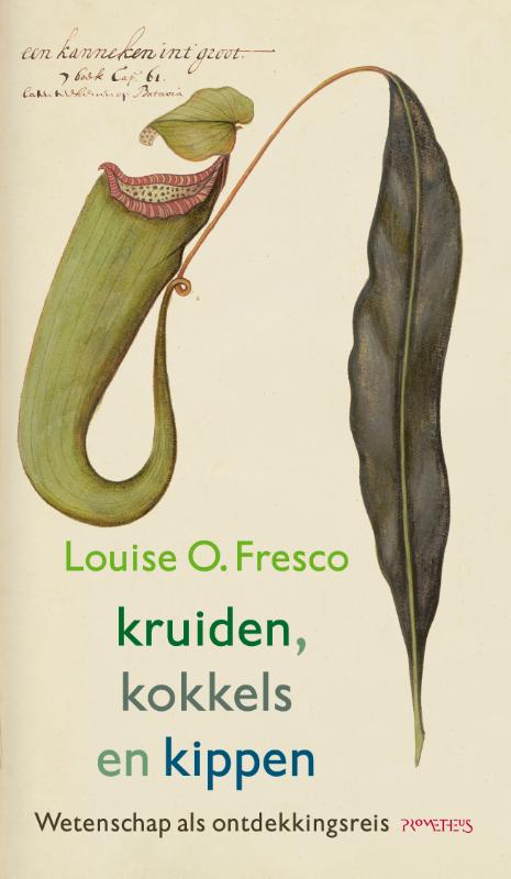 Omslag van Kruiden, kokkels en kippen