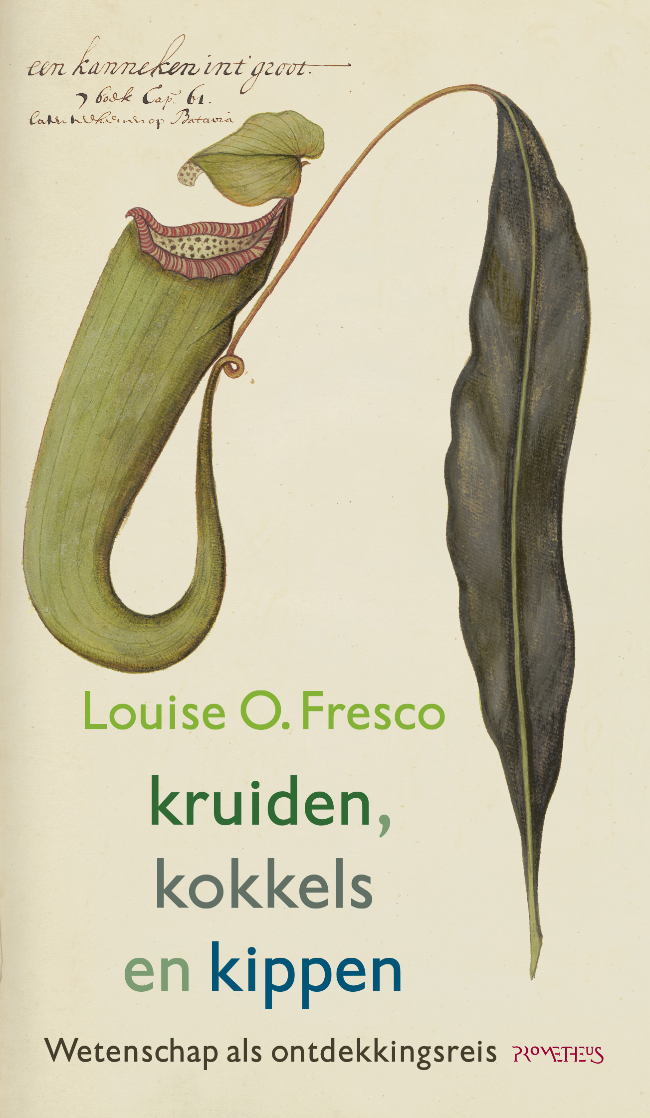 Omslag van Kruiden, kokkels en kippen