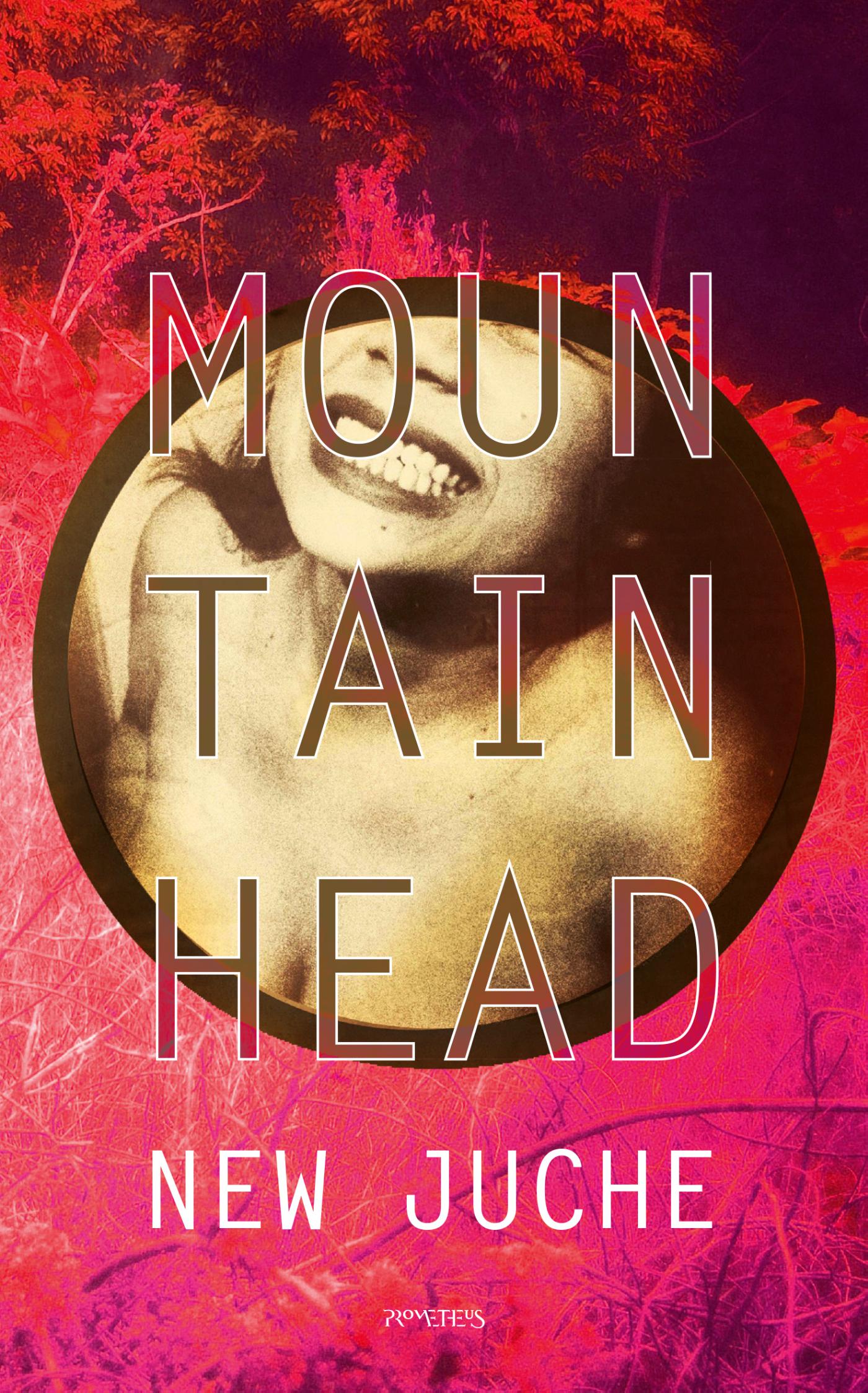 Omslag van Mountainhead