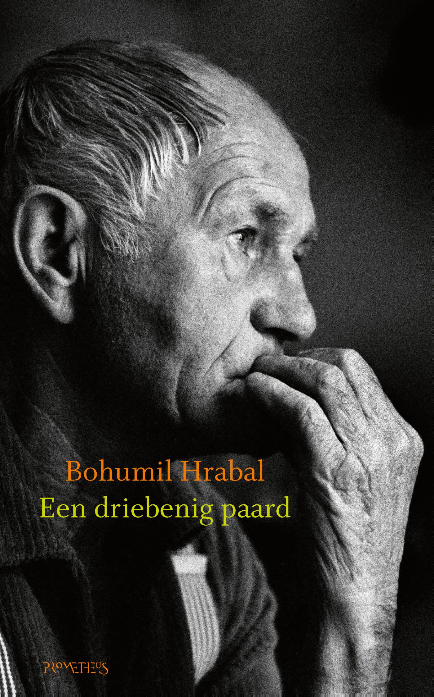 Omslag van Een driebenig paard