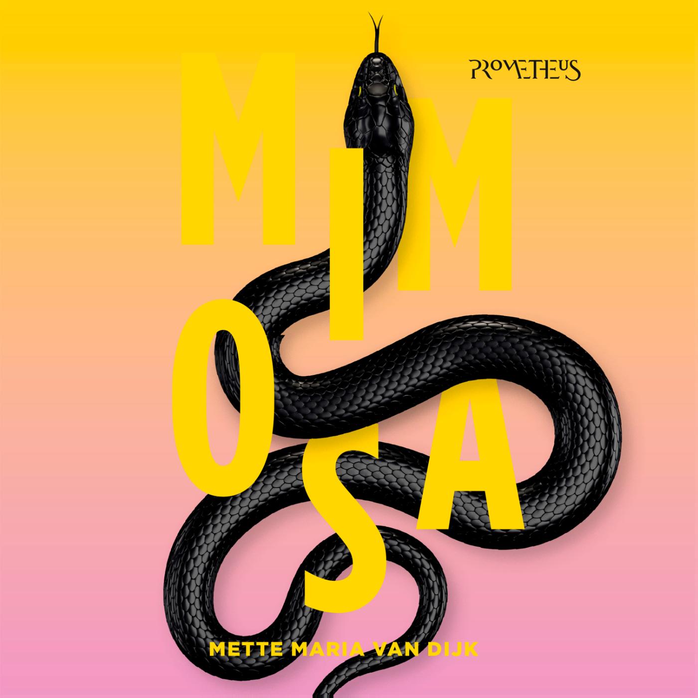 Omslag van Mimosa