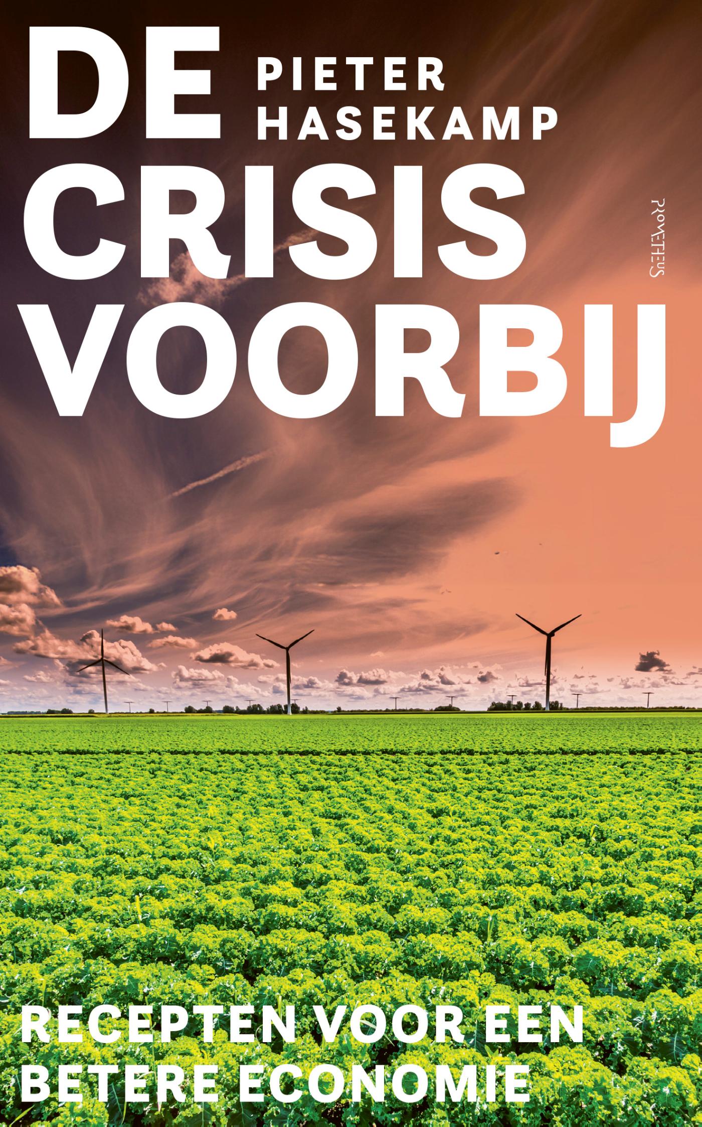Omslag van De crisis voorbij