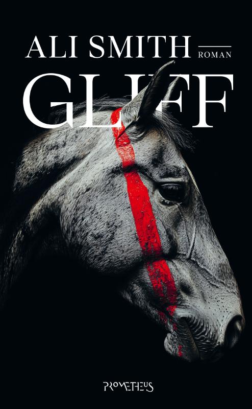 Omslag van Gliff