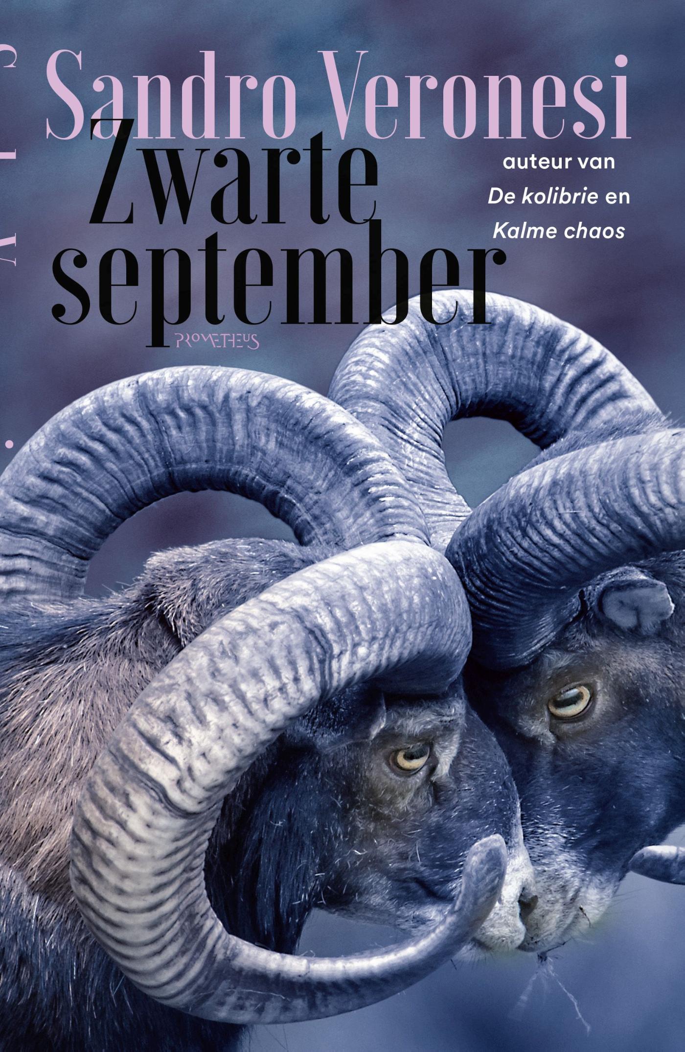 Omslag van Zwarte september