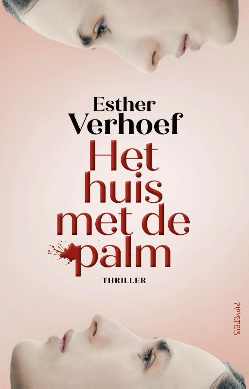 Omslag van Het huis met de palm