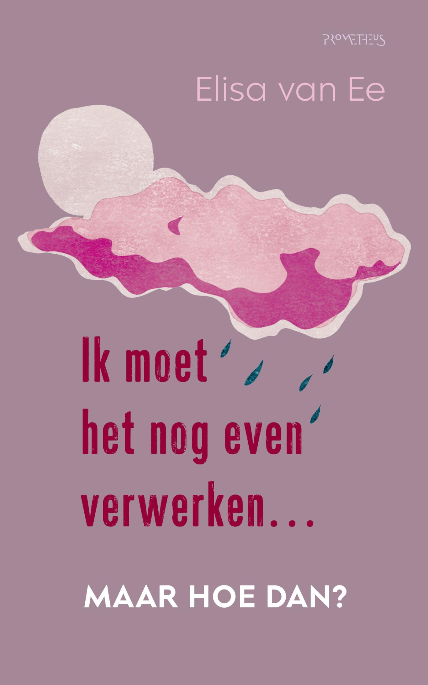 Omslag van Ik moet het nog even verwerken, moet hoe dan?