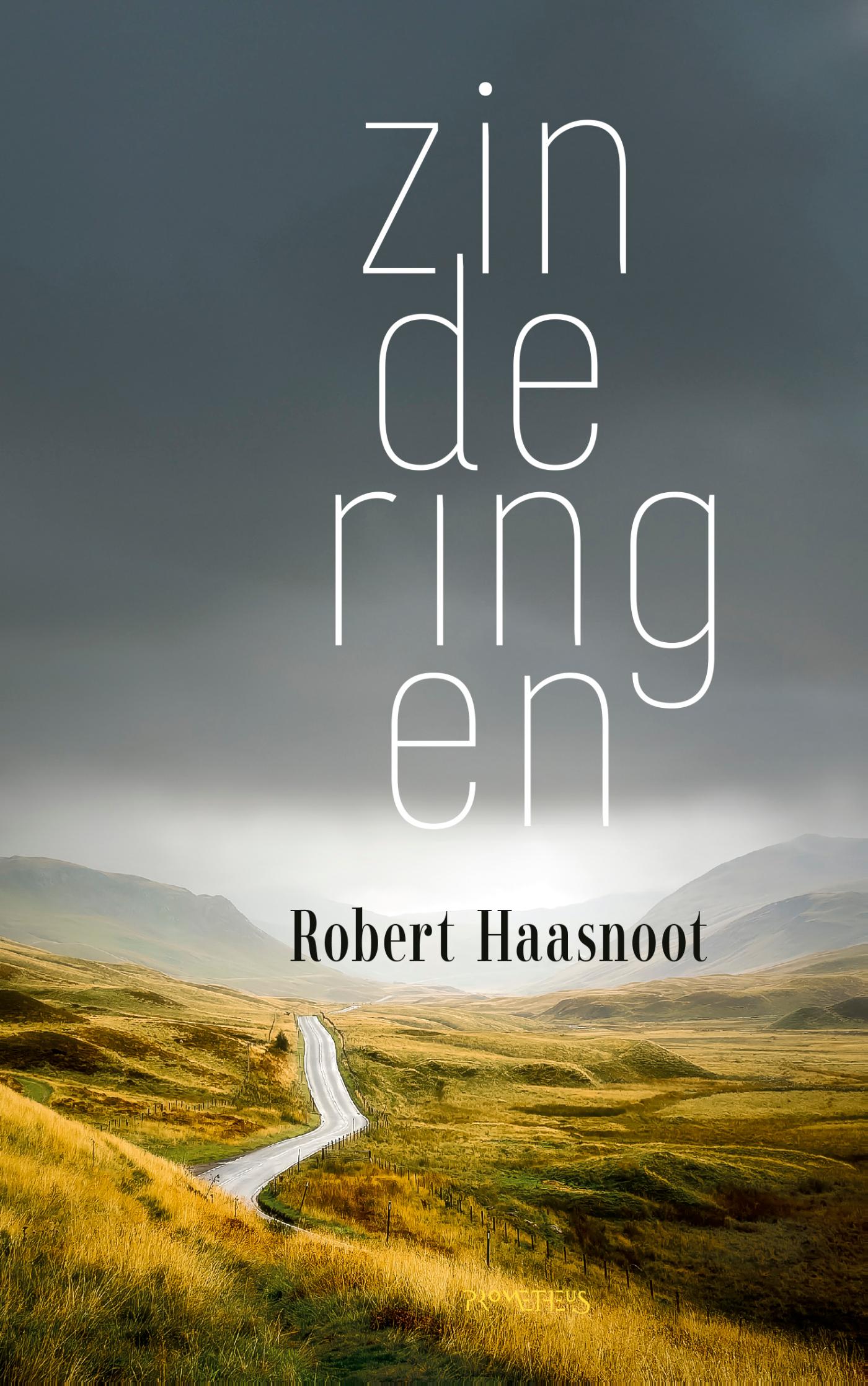 Omslag van Zinderingen