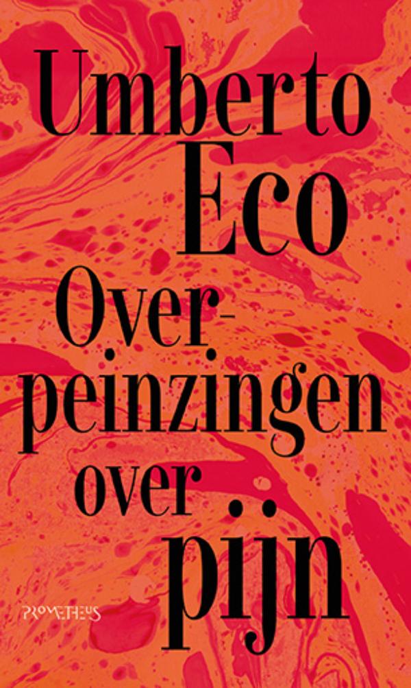 Omslag van Overpeinzingen over pijn