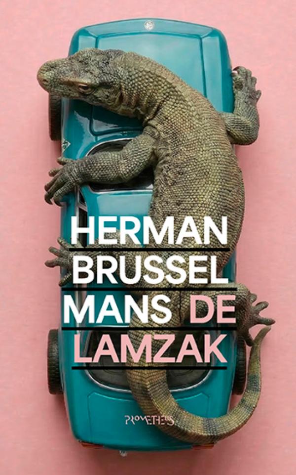 Omslag van De lamzak