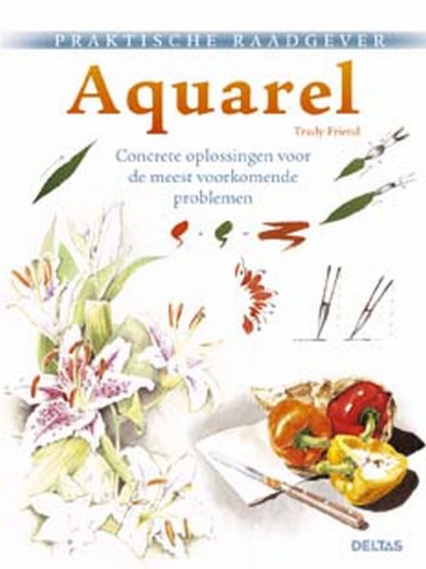 Omslag van Praktische raadgever aquarel