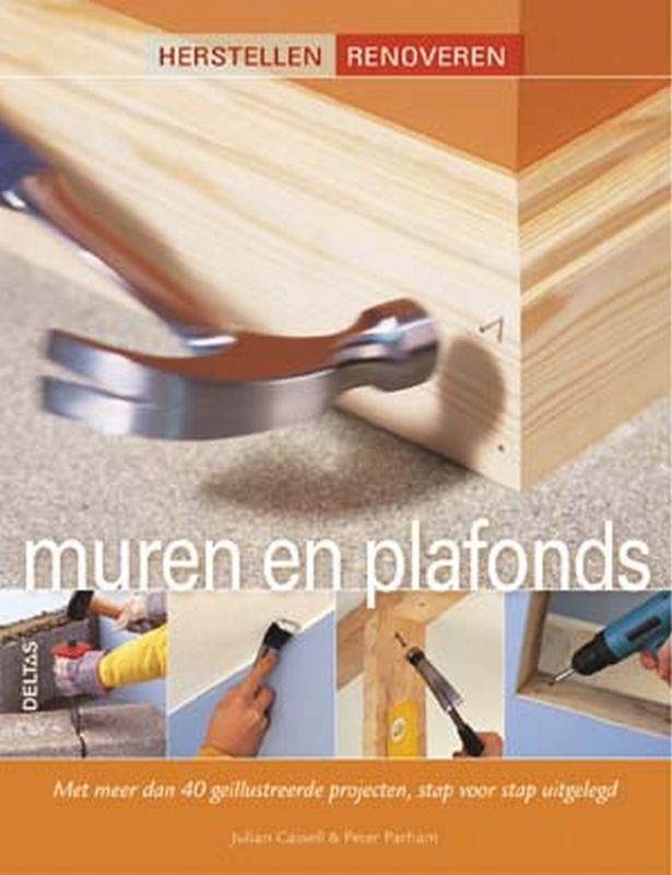 Omslag van Muren en plafonds