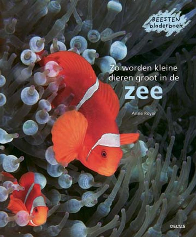 Omslag van Zo worden kleine dieren groot in de zee