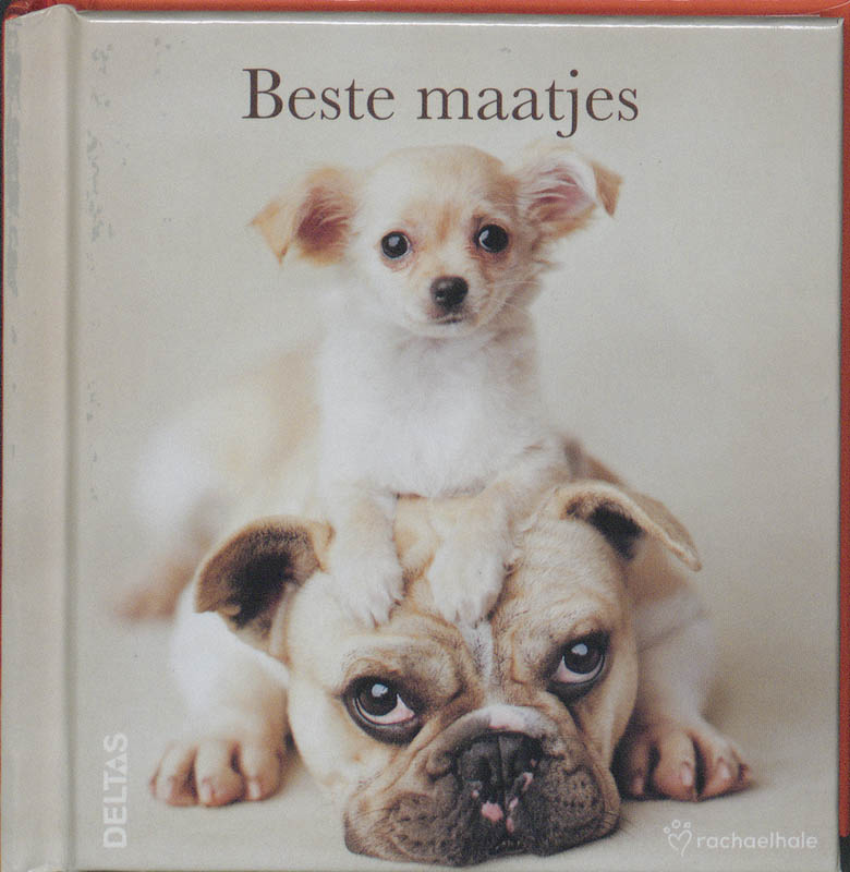 Omslag van Beste maatjes